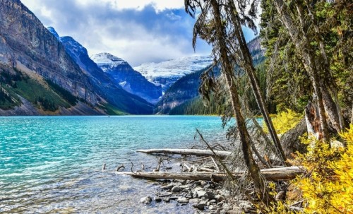 Fototapeta Piękne widoki jesień kultowego jeziora Louise w parku narodowym banff, Alberta, Kanada