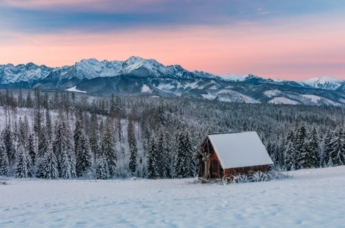 Fototapeta Zimowy krajobraz tatry z drewnianą chatą w śniegu