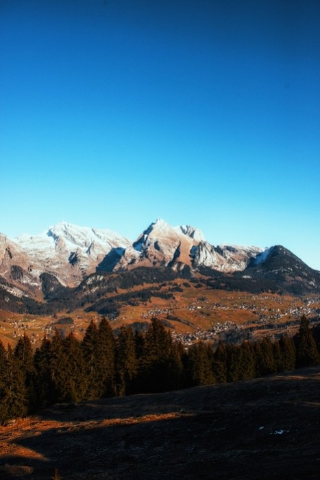 Fototapeta Schweizer berge