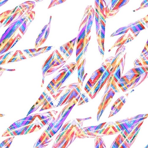 Fototapeta Tropical liści szwu. Barwny liście egzotycznych Calathea WHITESTAR roślin na zygzakowaty wzór geometryczny, mieszane efekt. Druk tekstylny.