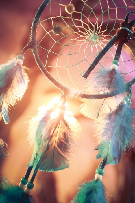 Fototapeta Dreamcatcher w lesie o zachodzie słońca