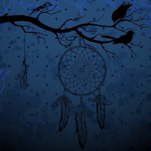Fototapeta Ciemnoniebieskim tle z Dream Catcher i ptaków