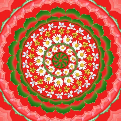 Fototapeta Mandala okrągły ornament Floral Drawing