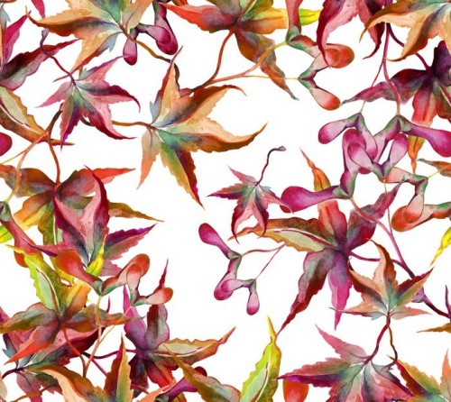 Fototapeta Liście Seamless Pattern