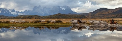 Fototapeta Chilean gauchos i stado koni, malownicza panorama. park narodowy torres del paine, patagonia, Chile