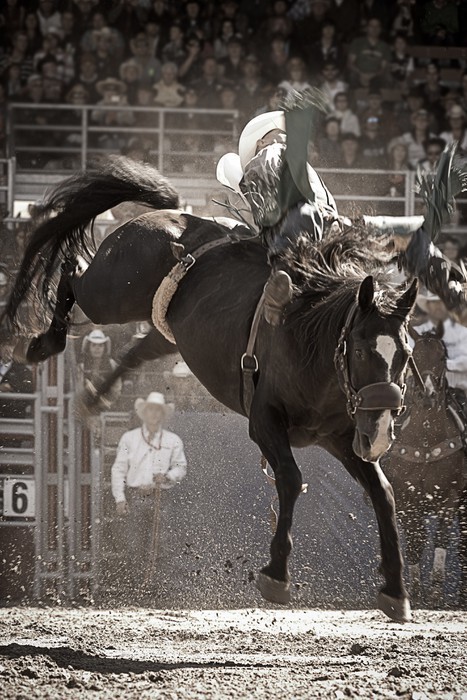 Fototapeta Rodeo