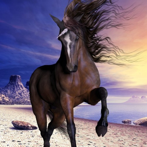 Fototapeta Mahogony Bay Unicorn