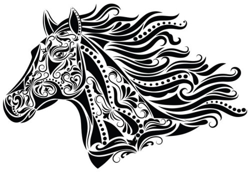 Fototapeta Abstract horse