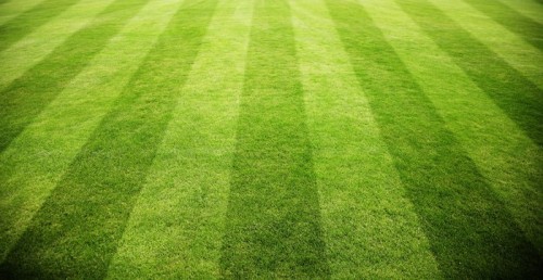 Fototapeta Piękna murawa football