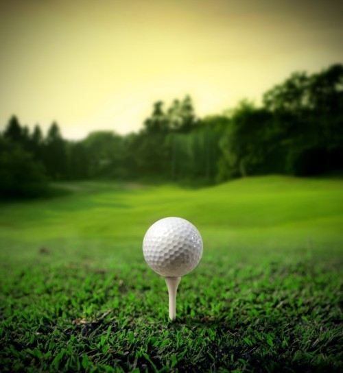 Fototapeta Golf Court