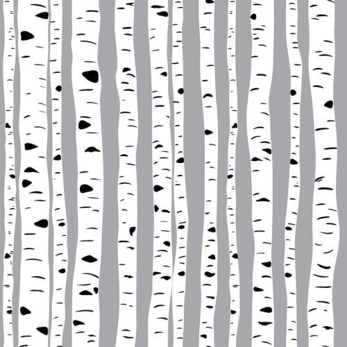 Fototapeta Brzozy w wektorze