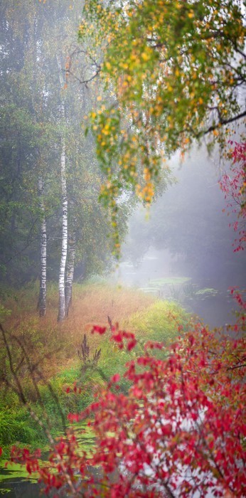 Fototapeta Pionowa panorama rano jesieni