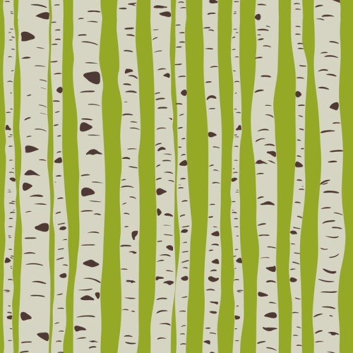 Fototapeta Brzozy w wektorze