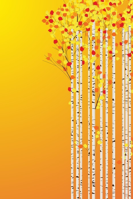 Fototapeta Autumn Birch forest