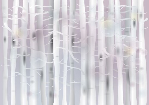 Fototapeta Delikatne Birch forest / Tender background