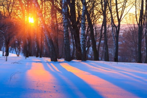 Fototapeta Zachód słońca w winter park
