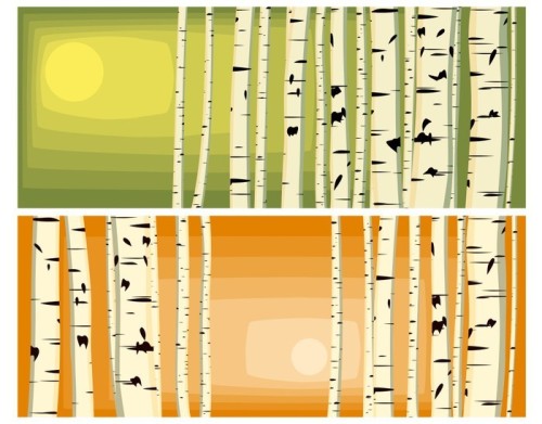 Fototapeta Poziome ilustracje pni brzozy.