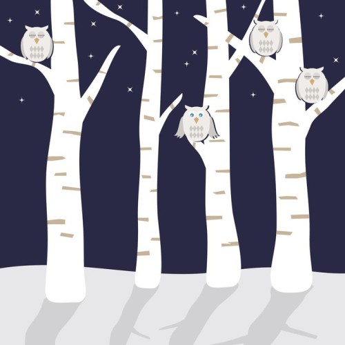 Fototapeta Snowy sowy