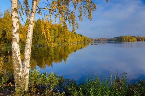 Fototapeta Refleksje jesienią rano na szwedzkim jeziorze