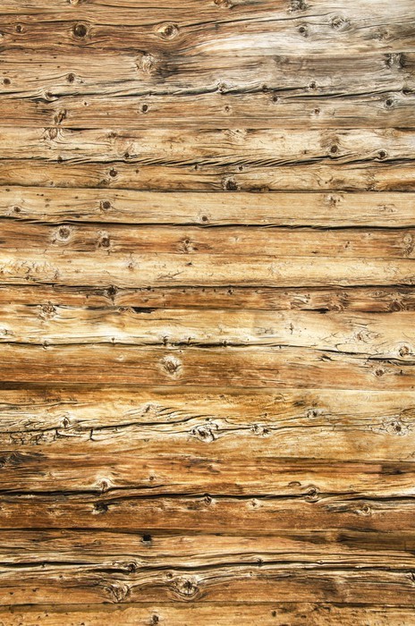 Fototapeta Textura wieku drzewna