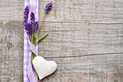 Fototapeta Lavender i serce ze wstążką