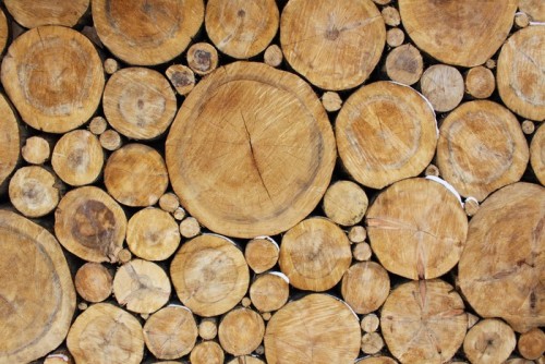 Fototapeta Ułożone drewno, naturalne tło