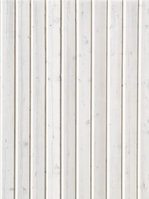 Fototapeta Białe tło Wood
