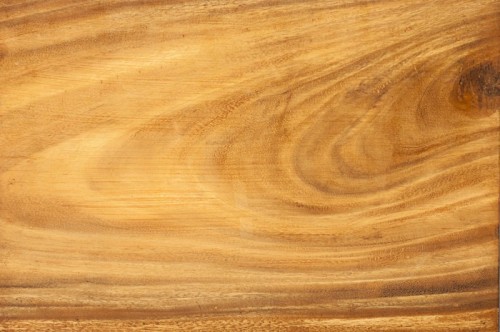 Fototapeta Wood taxture