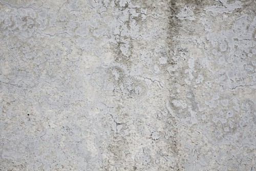 Fototapeta Betonowy mur Texture