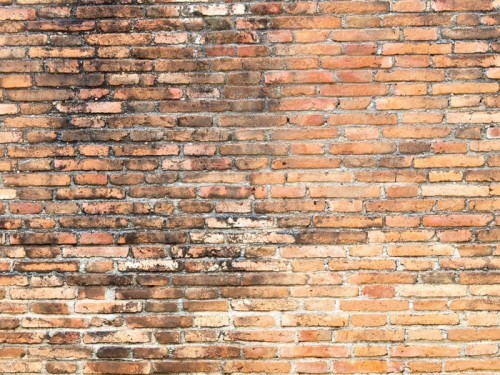 Fototapeta Stary czerwony mur z cegły grunge