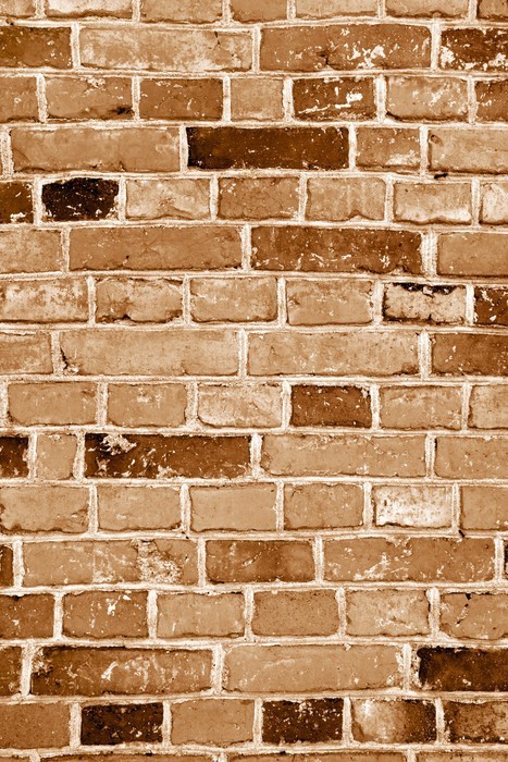 Fototapeta Grunge ceglany mur