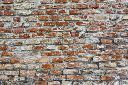 Fototapeta Ceglany mur wyblakły