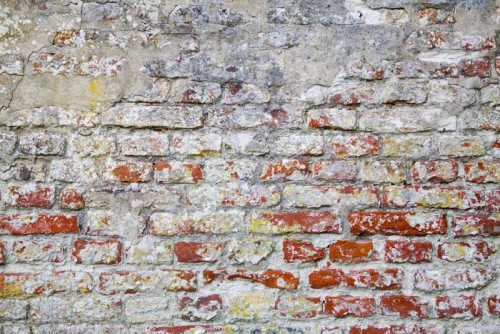 Fototapeta Old Red Brick Wall z betonie