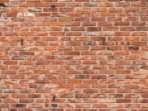 Fototapeta Ściana