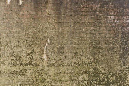 Fototapeta Stary mur