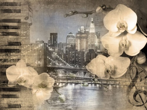 Fototapeta Orchidee na tle nieba nocą 