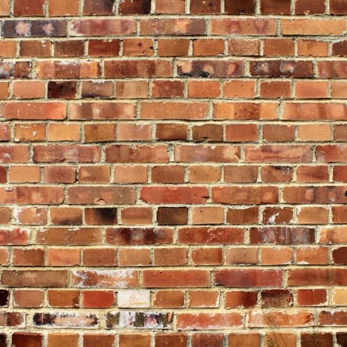 Fototapeta Cegły