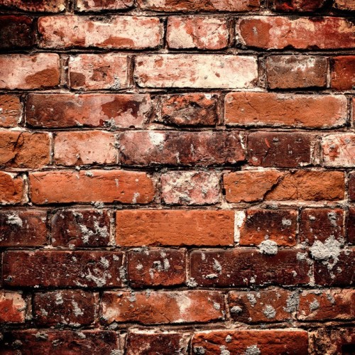 Fototapeta Ceglana ściana