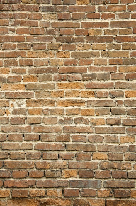 Fototapeta Ceglana ściana