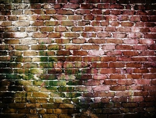 Fototapeta Graffiti mur ceglany