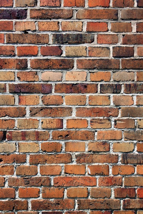 Fototapeta Brązowy mur
