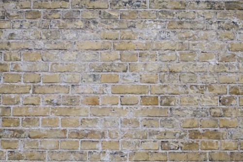 Fototapeta Zużyte wyblakły tle brudny żółty Brick Wall