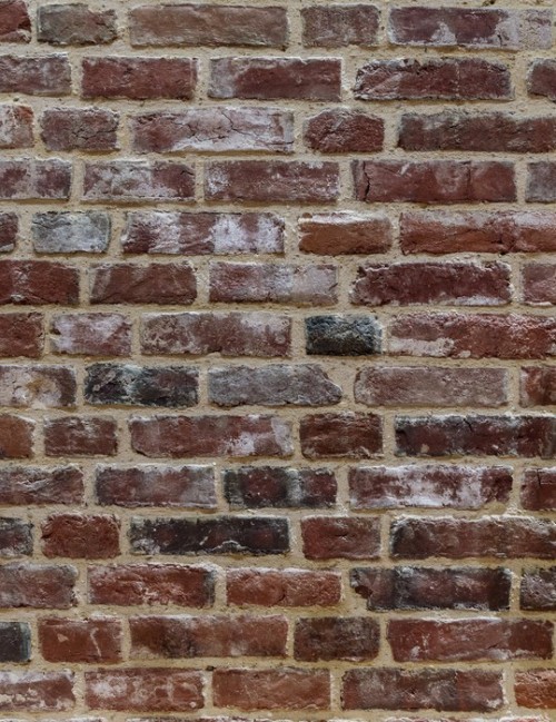 Fototapeta Ceglany mur w tle