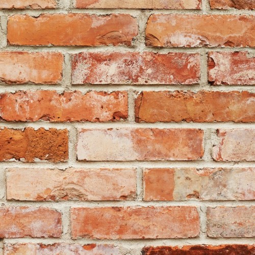 Fototapeta Czerwony mur z cegły