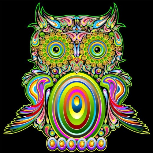 Fototapeta Popart psychedelic owl - sowa psychodeliczny dekoracyjne - wektor
