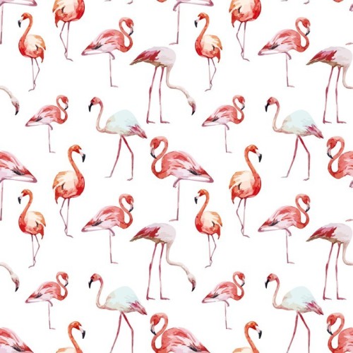 Fototapeta Wzór flamingo