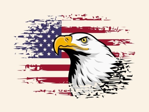 Fototapeta American Eagle przeciwko tle flagi USA