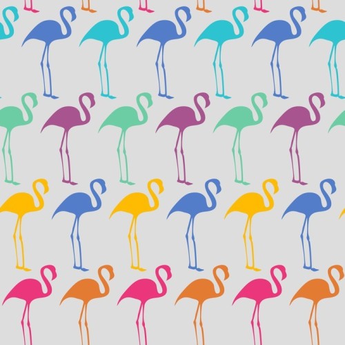 Fototapeta Flamingi