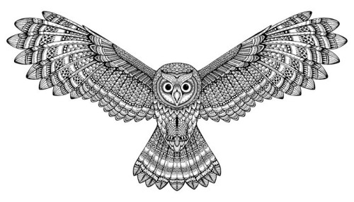 Fototapeta Wektor ręcznie rysowane latającą sowę. Czarno-białe sztuki zentangle