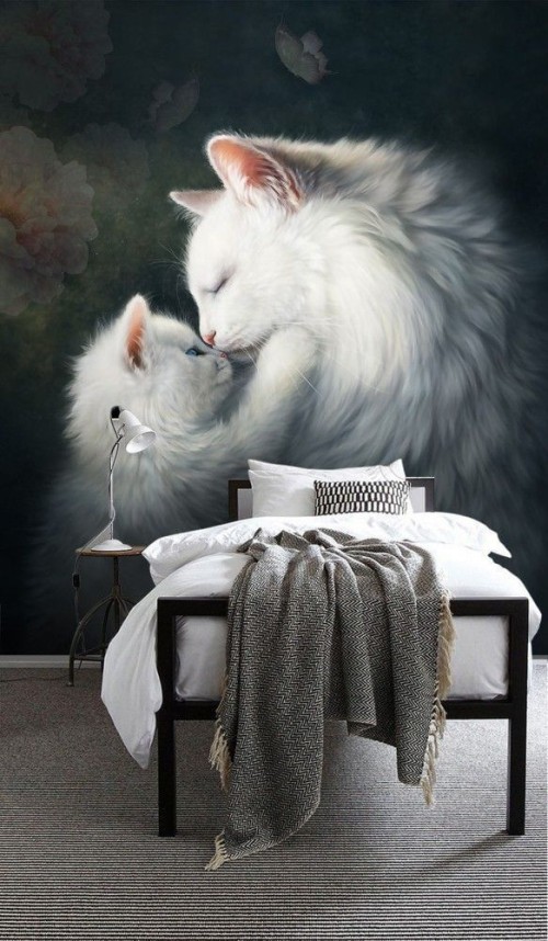 Fototapeta 3D Puszysty Kot